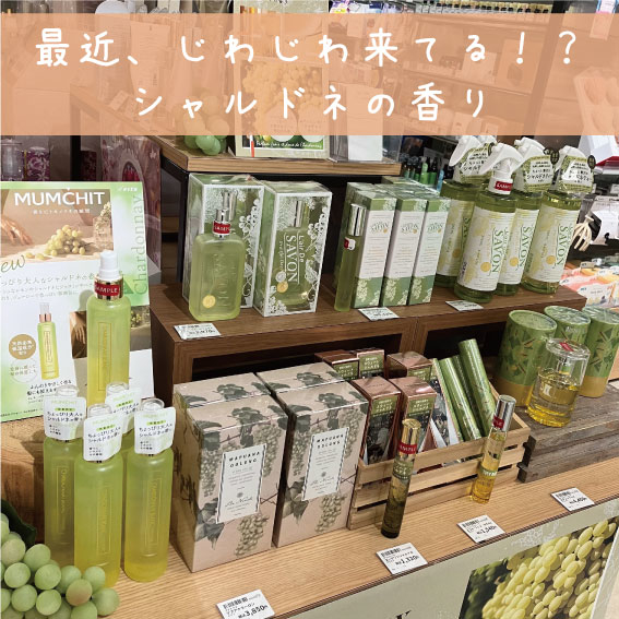 【松山店】最近、じわじわきてる？！シャルドネの香り